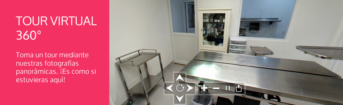 Tour Virtual 360° de nuestras instalaciones de clinica y hospital veterinario