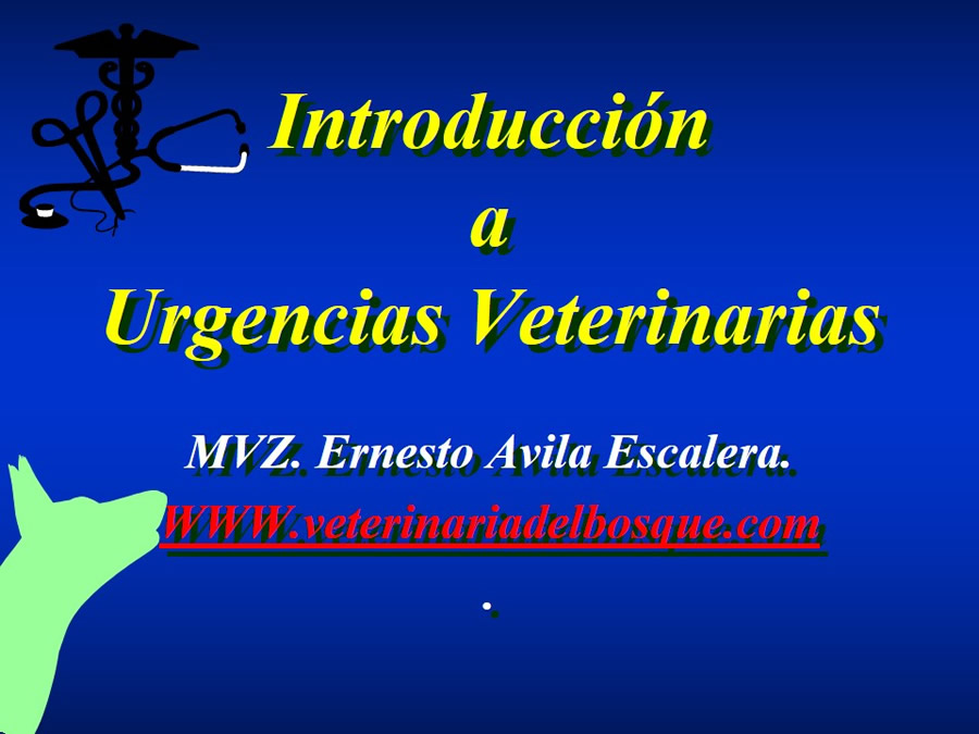 Introduccin a Urgencias Veterinarias