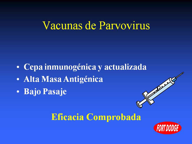 Conceptos en Vacunacin