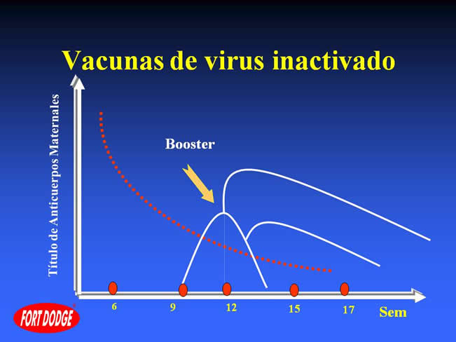 Conceptos en Vacunacin