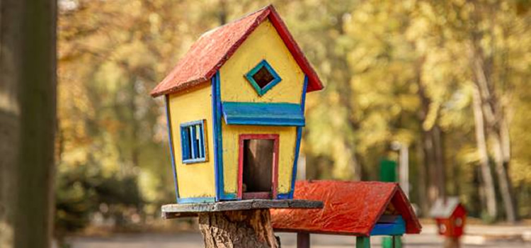 Beneficios de construir una casita para aves