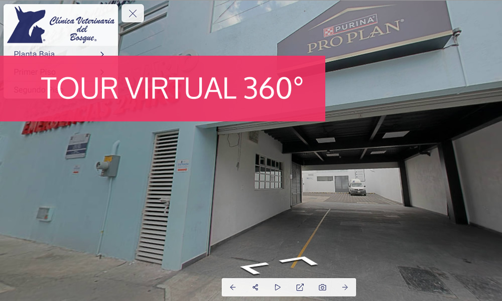 Tour Virtual 360° de nuestras instalaciones de clinica y hospital veterinario