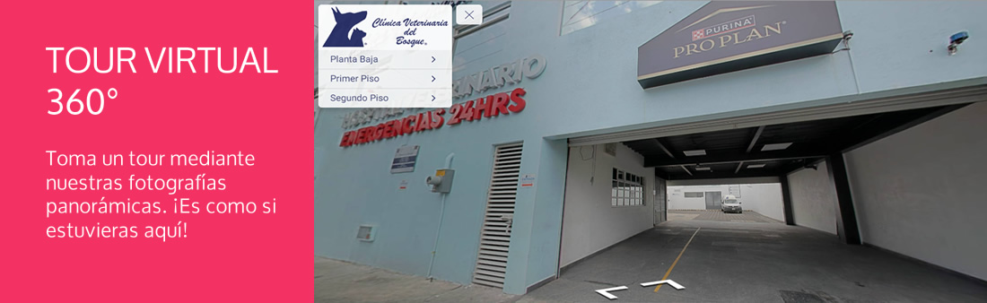 Tour Virtual 360° de nuestras instalaciones de clinica y hospital veterinario