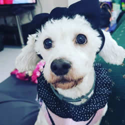 Julio: Luna