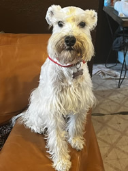 Septiembre: Mika