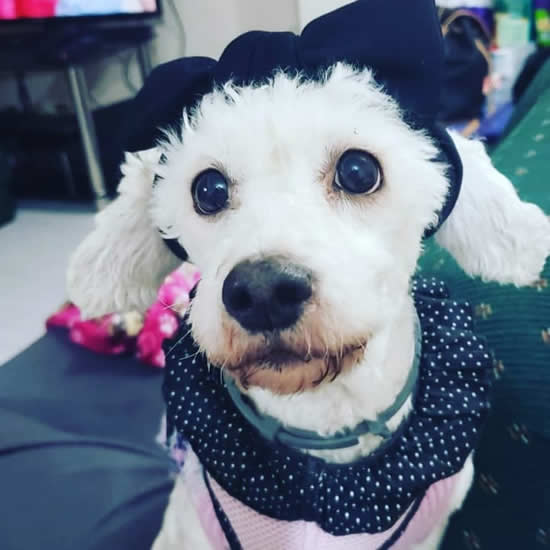 Julio: Luna