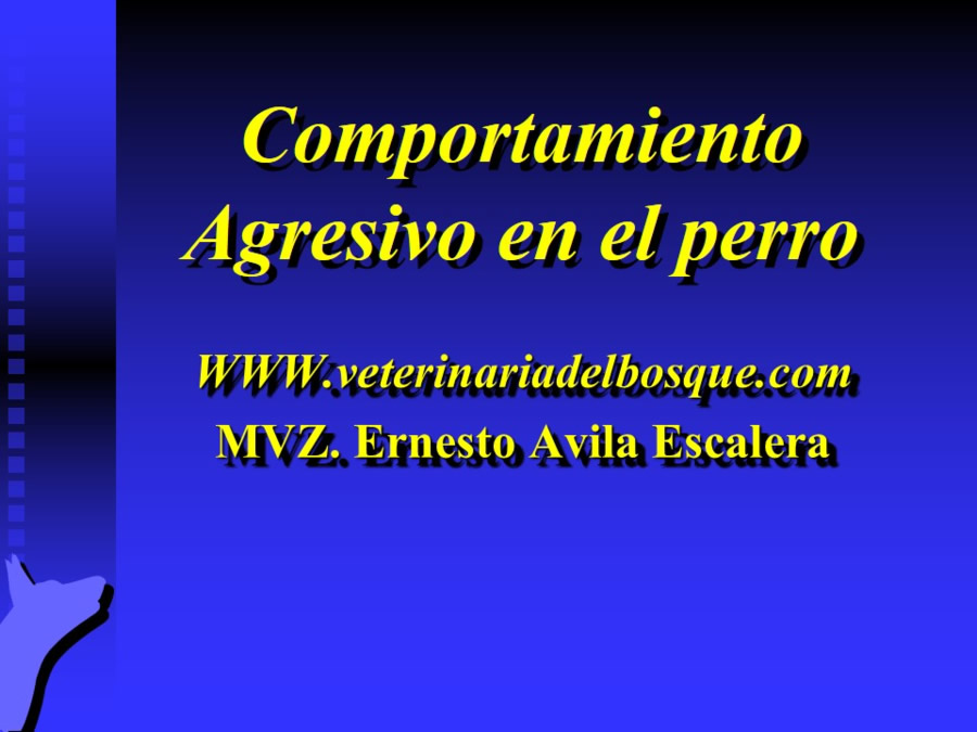 Agresin en perros