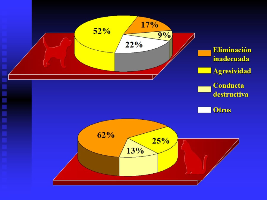 Agresin en perros