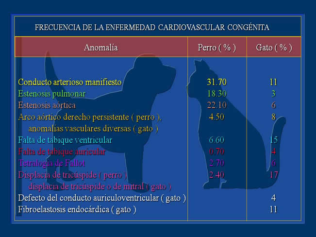 Enfermedad Cardiovascular