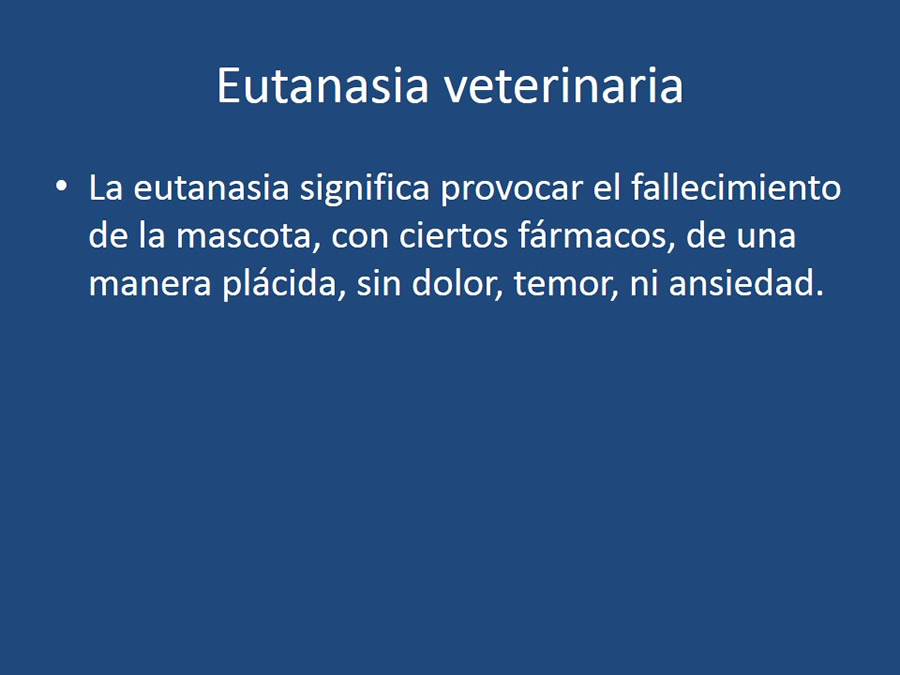 Eutanasia en mascotas
