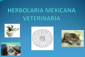 Herbolaria Mexicana Veterinaria