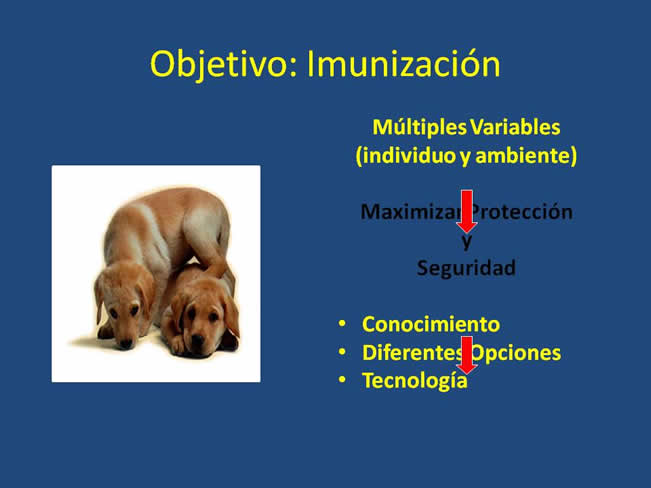 Inmunización en perros y gatos