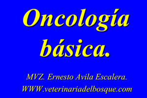 Oncología básica
