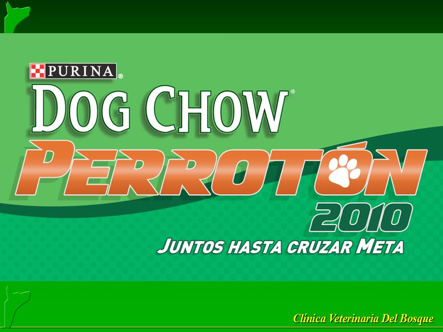 Perroton Dog Chow Intervención Veterinaria