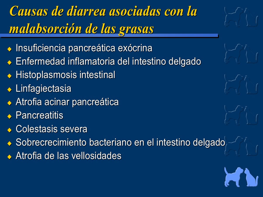 Algunos casos de trastornos gastroentericos