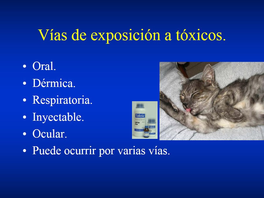 Urgencias Toxicológicas Veterinarias